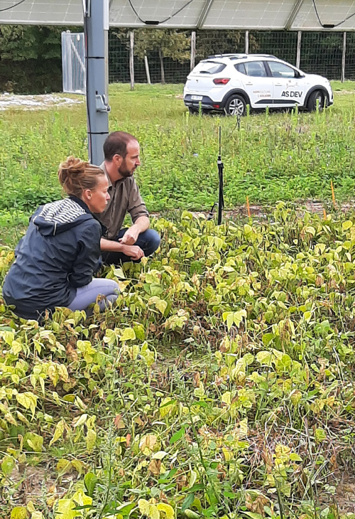 AgriPV-Solutions-Sebastien-sur-le-terrain