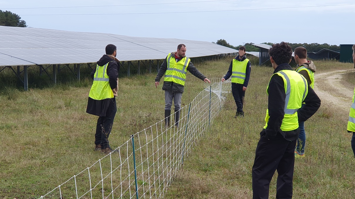 Chez AgriPV Solutions, nous accompagnons aussi les chefs de projets des opérateurs pour une meilleure compréhension de l'activité agricole au coeur du projet agrivoltaïque.